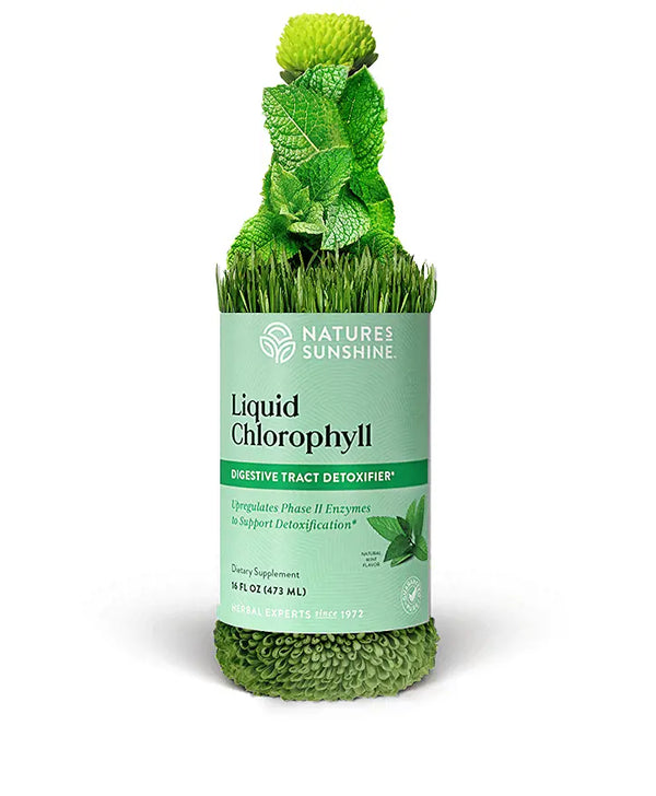 Chlorophyll, Liquid 32 fl oz