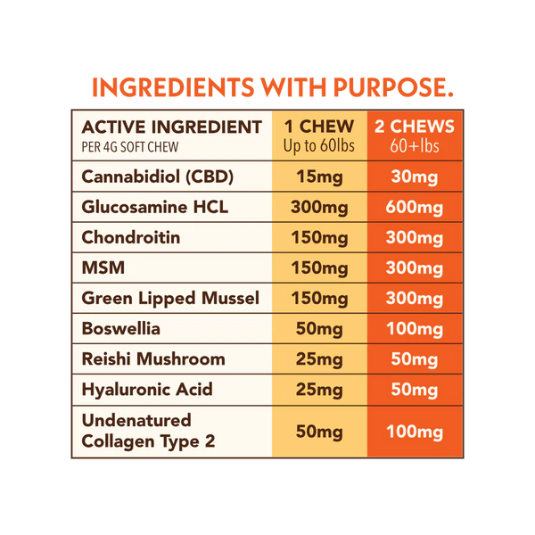 CBD + Mushroom Pet Chews Hip, Joint & Skin