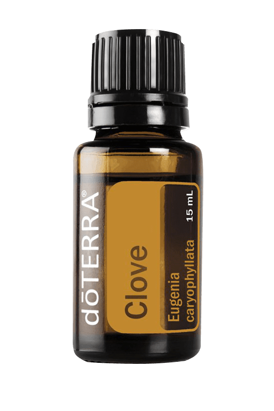 Clove 15 ml