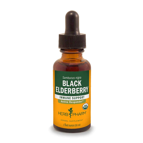 Black Elderberry